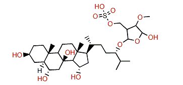 Asterosaponin P1